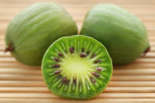 Load image into Gallery viewer, Actinidia Arguta &#39;Issai&#39; (Hardy Kiwi)
