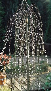 Salix Caprea 'Pendula' (Weeping Pussy Willow)